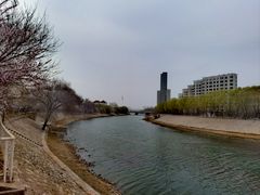 -桃花堤公园