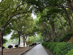 -灵岩山风景区