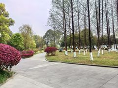 -成都南湖公园