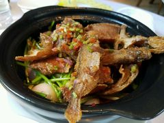 -老洋房花园饭店(绍兴路店)