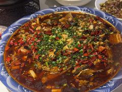 -新概念来凤鱼(璧山店)