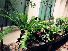 -花迹(富春江东街店)