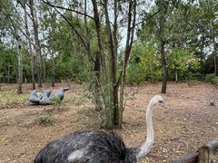 -大连森林动物园