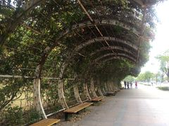 -南京邮电大学(仙林校区)