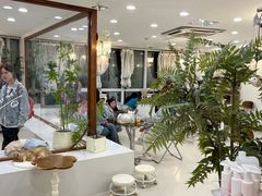 -共舞时光猫咖·狗咖(新街口店)