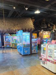 -卡通尼·Safari非洲探索乐园·生日会(金桥国际商业广场店)