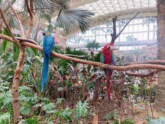 -杭州开元森泊度假乐园