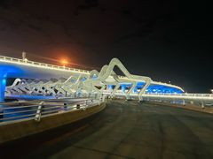 -演武大桥观景平台