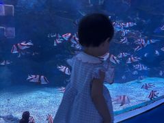 -海合安成都极地海洋公园