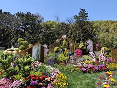 -上海共青森林公园