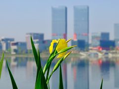 -星巴克(成都科学城店)