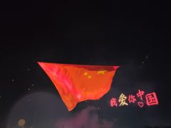 -荷兰花海