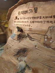 -奇幻萌宠部落(映月湖环宇城店)