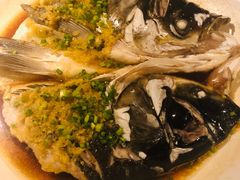 鱼头诱惑-绿茶餐厅(西单老佛爷店)