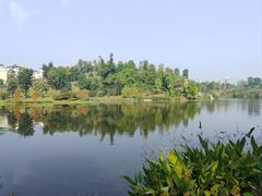 -东岳体育公园