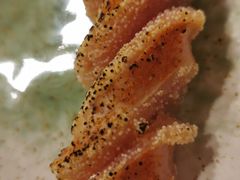 辣烤明太鱼子-日葵 大阪烧ひまり(仙霞路店)