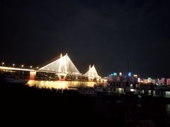 -武汉两江游览·夜游长江(汉口粤汉码头)