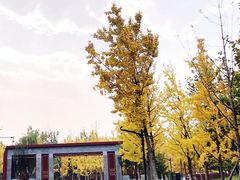 -北坞公园