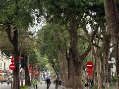 -圣约瑟夫大教堂