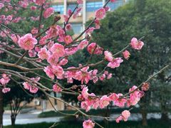 -浙江大学(玉泉校区)