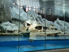 -帝企鹅自助餐厅•儿童岛•真企鹅(长隆企鹅酒店)