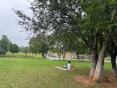 -盘龙城遗址博物院