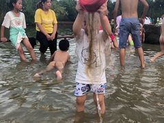 -青枫公园