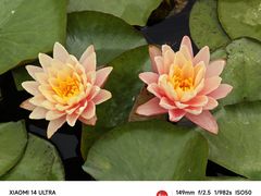 -洛阳市隋唐城遗址植物园