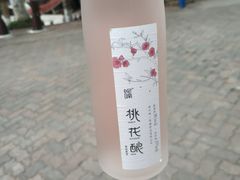 -美心红酒小镇游乐园