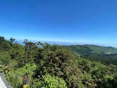-武陵山森林公园