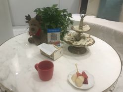 -健身堂科技美肌SPA