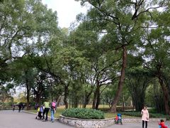 景点-晓港公园