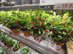 -鹿岛生活(熙地港店)