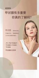 -隐逸SPA
