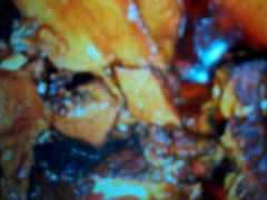 -The Dishes Seafood & Restaurant