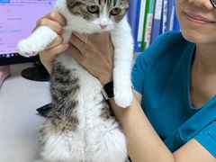 -宠颐生猫科·内科皮肤科(西平世纪城店)