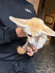 -Zoolung Zoolung动物主题公园(海信广场店)