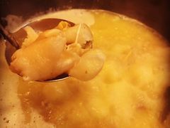 -鲜入围煮花胶鸡海鲜火锅