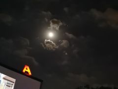 -枫花园汽车电影院(朝阳公园店)