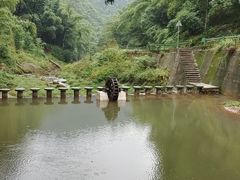 -芦沟竹海