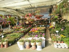 -三圣花乡旅游区