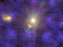 -宴秋杭州菜(锦艺城店)