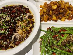-三猫黑鱼花(南大店)