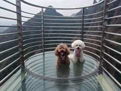 -十渡东湖港风景区