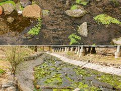 -白水寺森林公园