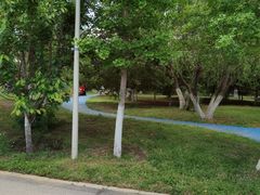 -长白岛森林公园