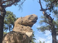 -崂山仰口游览区
