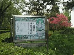 -北京大学赛克勒考古与艺术博物馆