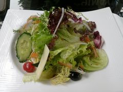 蔬菜沙拉-Malena玛莲娜
