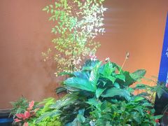 -隐炉和牛烧肉店(群力店)